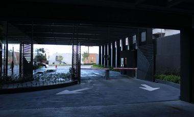 OFICINAS EN RENTA TORRE PLATEA