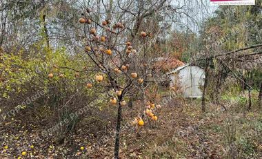 Se Vende bellísima Parcela con casa
