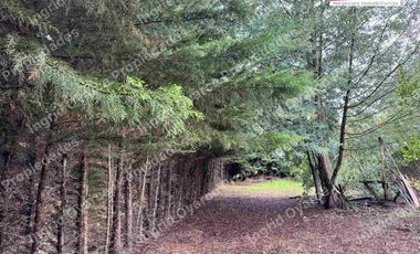 Se Vende bellísima Parcela con casa