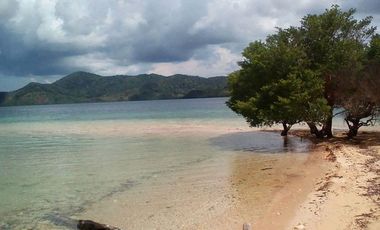 50,000 sqm Beachfront For Sale in Palawan (Galoc, Culion)
