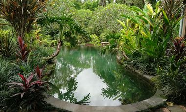 2 Bedroom Leasehold Villa for Sale with Lush Green Views - 10 Minutes from Ubud Center
