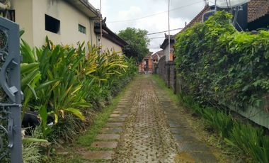 2 Bedroom Leasehold Villa for Sale with Lush Green Views - 10 Minutes from Ubud Center