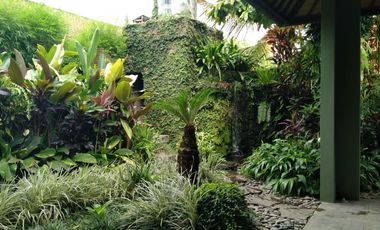 2 Bedroom Leasehold Villa for Sale with Lush Green Views - 10 Minutes from Ubud Center