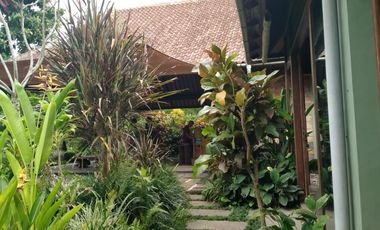 2 Bedroom Leasehold Villa for Sale with Lush Green Views - 10 Minutes from Ubud Center