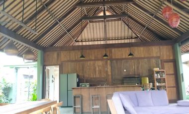 2 Bedroom Leasehold Villa for Sale with Lush Green Views - 10 Minutes from Ubud Center