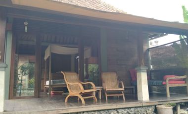 2 Bedroom Leasehold Villa for Sale with Lush Green Views - 10 Minutes from Ubud Center