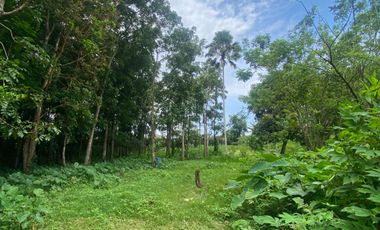 Agricultural  Land for Sale, Luksuhin Ibaba, Alfonso Cavite