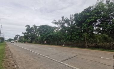 8,000 sq.m Commercial Lot For Sale located in  Dao, Dauis, Panglao Island, Bohol