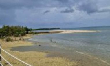 For Sale House and Lot in Aduna Villas, Danao City, Cebu