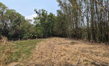 TERRENO EN RENTA CARRETERA PASO DEL TORO VERACRUZ | ARLETTE FLORES