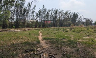 TERRENO EN RENTA CARRETERA PASO DEL TORO VERACRUZ | ARLETTE FLORES