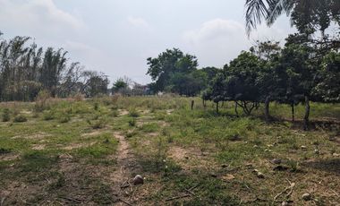 TERRENO EN RENTA CARRETERA PASO DEL TORO VERACRUZ | ARLETTE FLORES