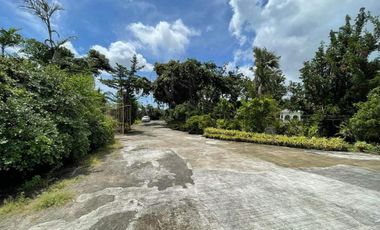 Lot For Sale Property in Pagsabungan, Mandaue City