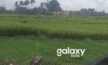 DIJUAL TANAH PANTAI MENGENING CEMAGI MENGWI BADUNG, BALI