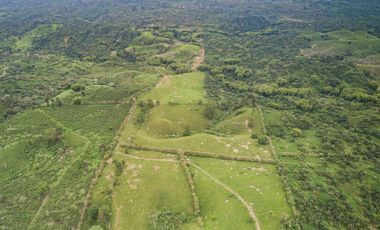 Hacienda de Venta en Bocana del Búa, Quininde, Esmeraldas