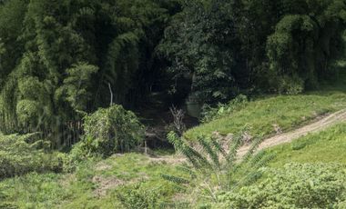 Hacienda de Venta en Bocana del Búa, Quininde, Esmeraldas