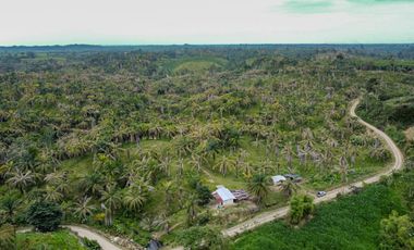 Hacienda de Venta en Bocana del Búa, Quininde, Esmeraldas