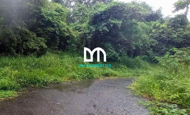 For Sale: Vacant Lot in Forest Hills Golf and Country Club, Antipolo City