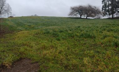 SE VENDE Parcela, 2 Los Chilcos, Comuna de La Unión