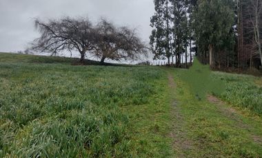 SE VENDE Parcela, 2 Los Chilcos, Comuna de La Unión