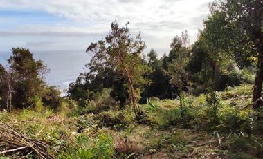 Se vende parcelas 6.000 m2 en el sector de Loncoyen, Valdivia