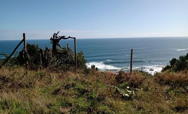 Se vende parcelas 6.000 m2 en el sector de Loncoyen, Valdivia