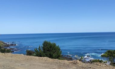 Se vende parcelas 6.000 m2 en el sector de Loncoyen, Valdivia