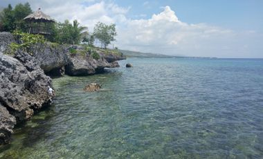 For Sale 100 sq.m Beach Lot with Straight Monthly Payment in Alcoy, Cebu