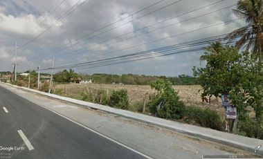 24 hectare raw land for housing along highway in Rosario Batangas