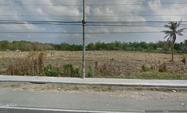 24 hectare raw land for housing along highway in Rosario Batangas