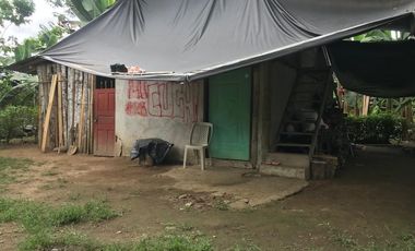 Vendo Finca de 10 hectáreas en Puerto Quito.