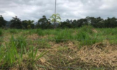 Vendo Finca de 10 hectáreas en Puerto Quito.