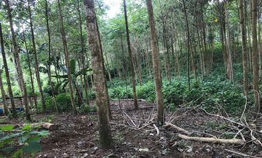 Vendo Finca de 10 hectáreas en Puerto Quito.