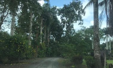 Vendo Finca de 10 hectáreas en Puerto Quito.