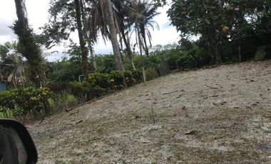 Vendo Finca de 10 hectáreas en Puerto Quito.