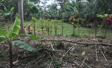 Vendo Finca de 10 hectáreas en Puerto Quito.
