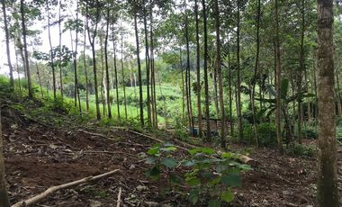 Vendo Finca de 10 hectáreas en Puerto Quito.