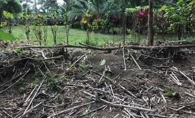 Vendo Finca de 10 hectáreas en Puerto Quito.