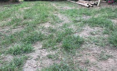 Vendo Finca de 10 hectáreas en Puerto Quito.