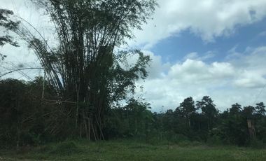 Vendo Finca de 10 hectáreas en Puerto Quito.