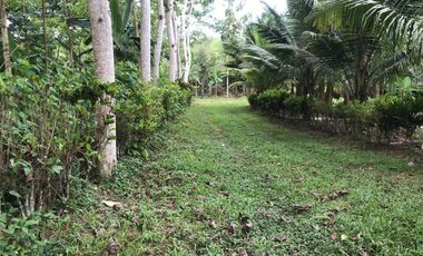 Vendo Finca de 10 hectáreas en Puerto Quito.