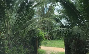 Vendo Finca de 10 hectáreas en Puerto Quito.