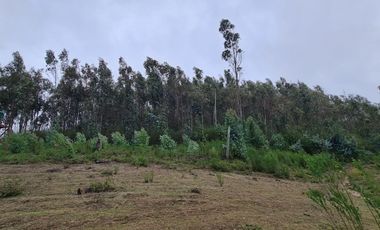 Hermosa parcela a minutos de Concepción