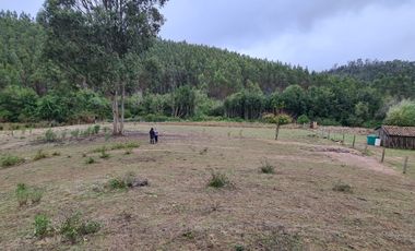 Hermosa parcela a minutos de Concepción