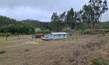 Hermosa parcela a minutos de Concepción