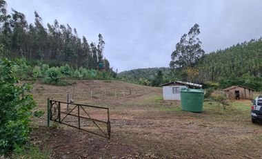 Hermosa parcela a minutos de Concepción