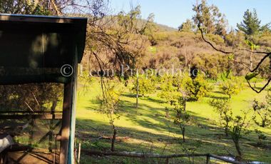 Se vende parcela de 8 ha. con cabaña y piscina en sector MIraflores, Curacaví.