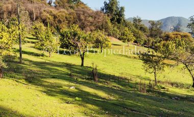 Se vende parcela de 8 ha. con cabaña y piscina en sector MIraflores, Curacaví.