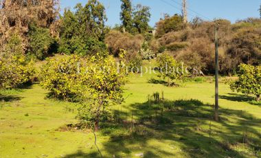 Se vende parcela de 8 ha. con cabaña y piscina en sector MIraflores, Curacaví.