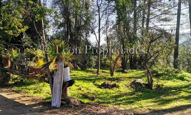 Se vende parcela de 8 ha. con cabaña y piscina en sector MIraflores, Curacaví.